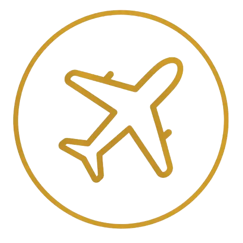 Global export countries icon